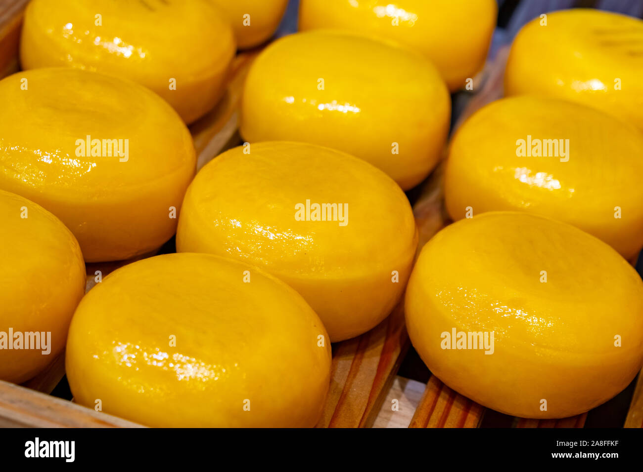 Holland cheese wheels on the shelves in diary production market. Food