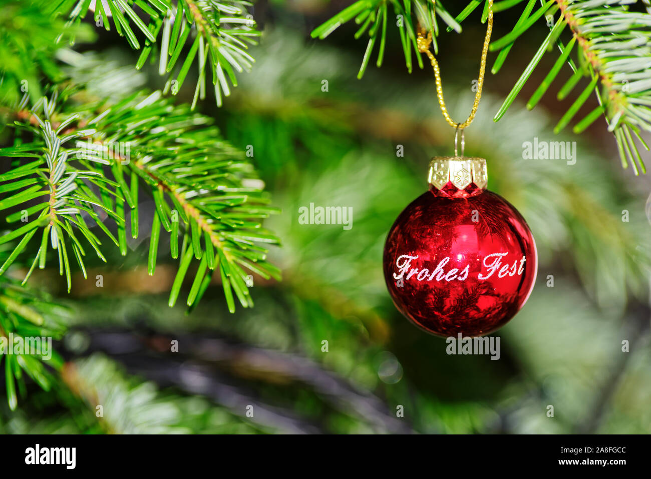 Red Christmas ball with Happy Holiday text in German hanging on fir branch Stock Photo