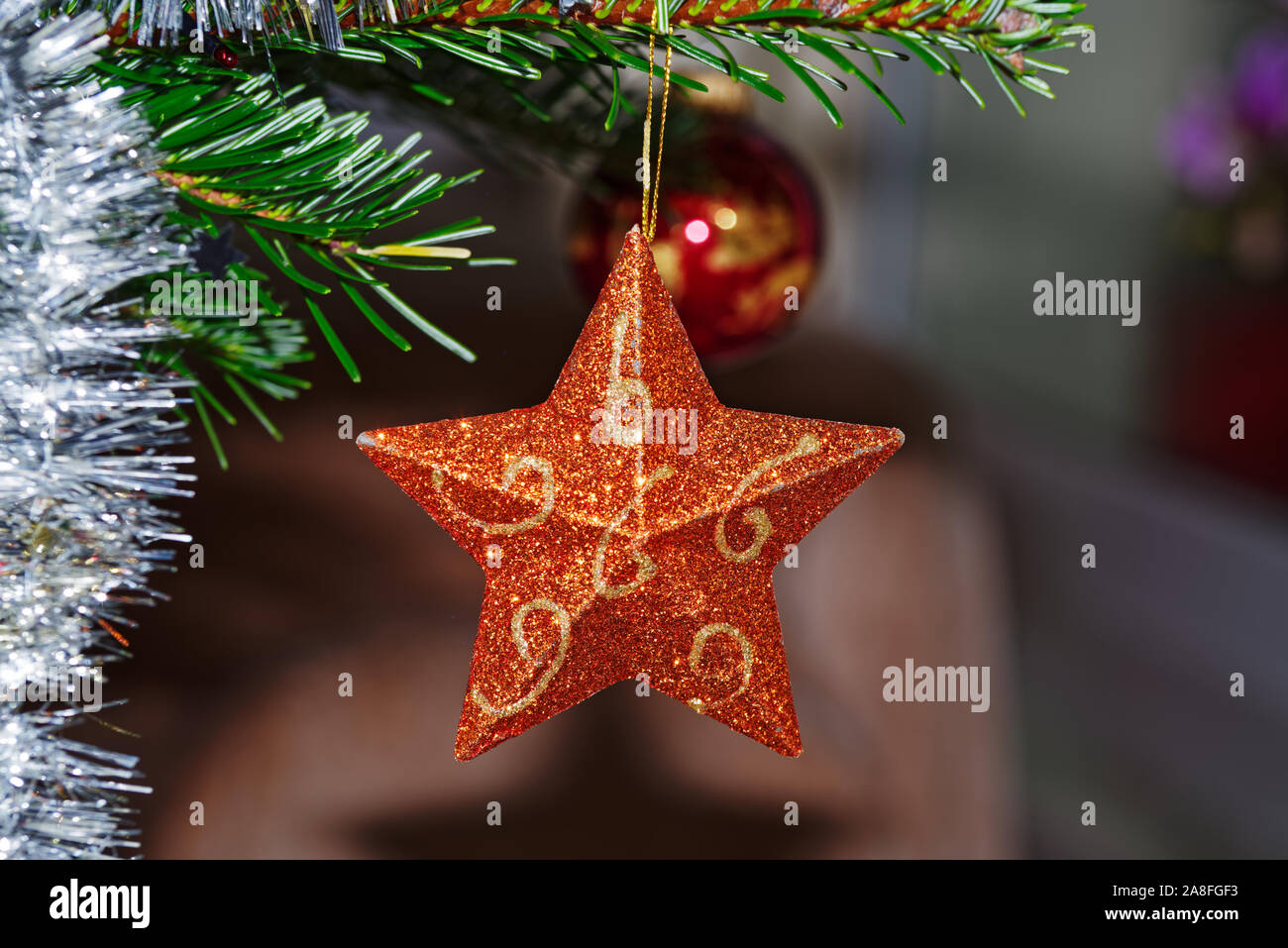 Orange Christmas star hanging on a tree branch Stock Photo