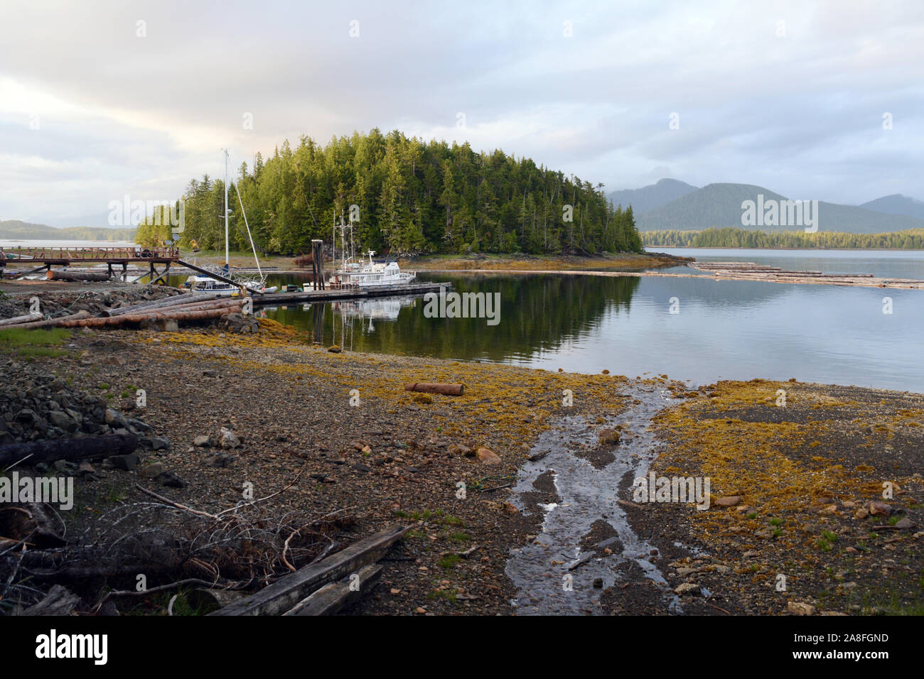 Ocean Rivulets A small rivulet or creek emptying into the Pacific Ocean in the Great ...