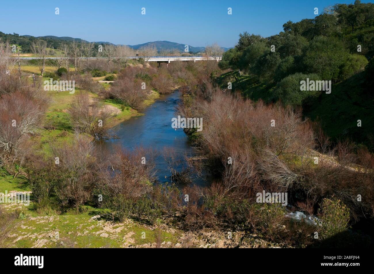 Chanza River, Water, Rosal de la frontera, Huelva province, Region of Andalusia, Spain, Europe. Stock Photo