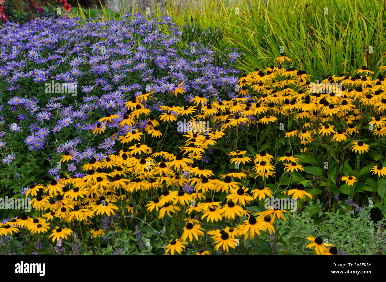 Multi-colored flowers in kitchen garden, Staurhead gardens, Wilthire UK Stock Photo