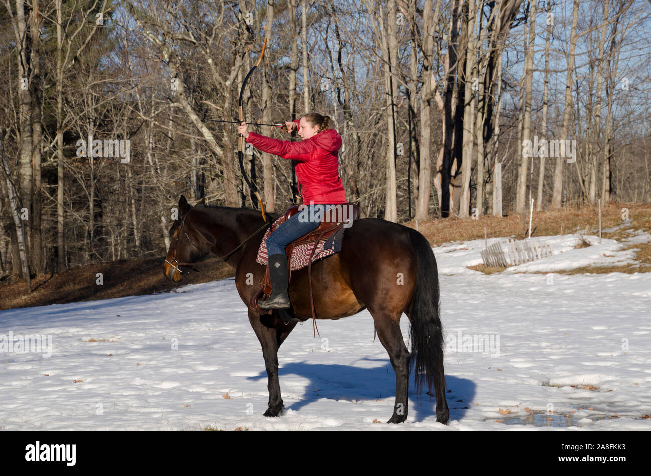 Young woman shooting archery on horseback. Quarter horse and the archer practicing aim, Maine, USA Stock Photo