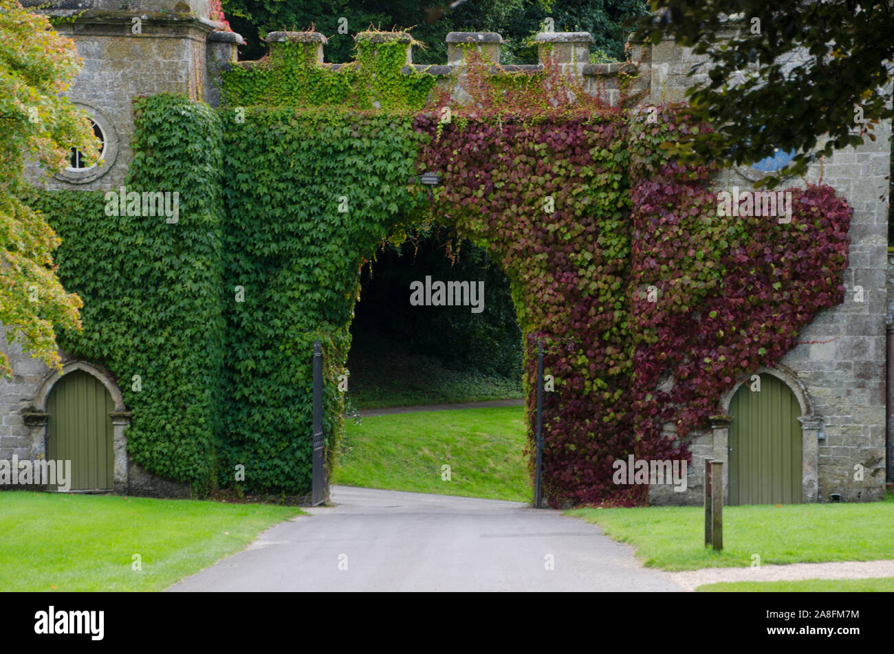 Early fall English ivy vines climbing on a stone archway in Stourhead gardens, Wiltshire, UK Stock Photo