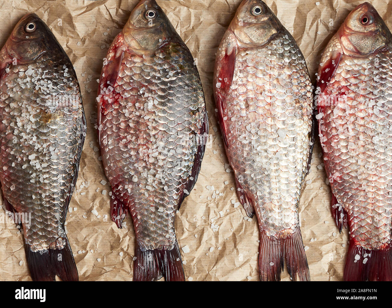 Paper Scale Fush Close up carp scales hi-res stock photography and images - Alamy
