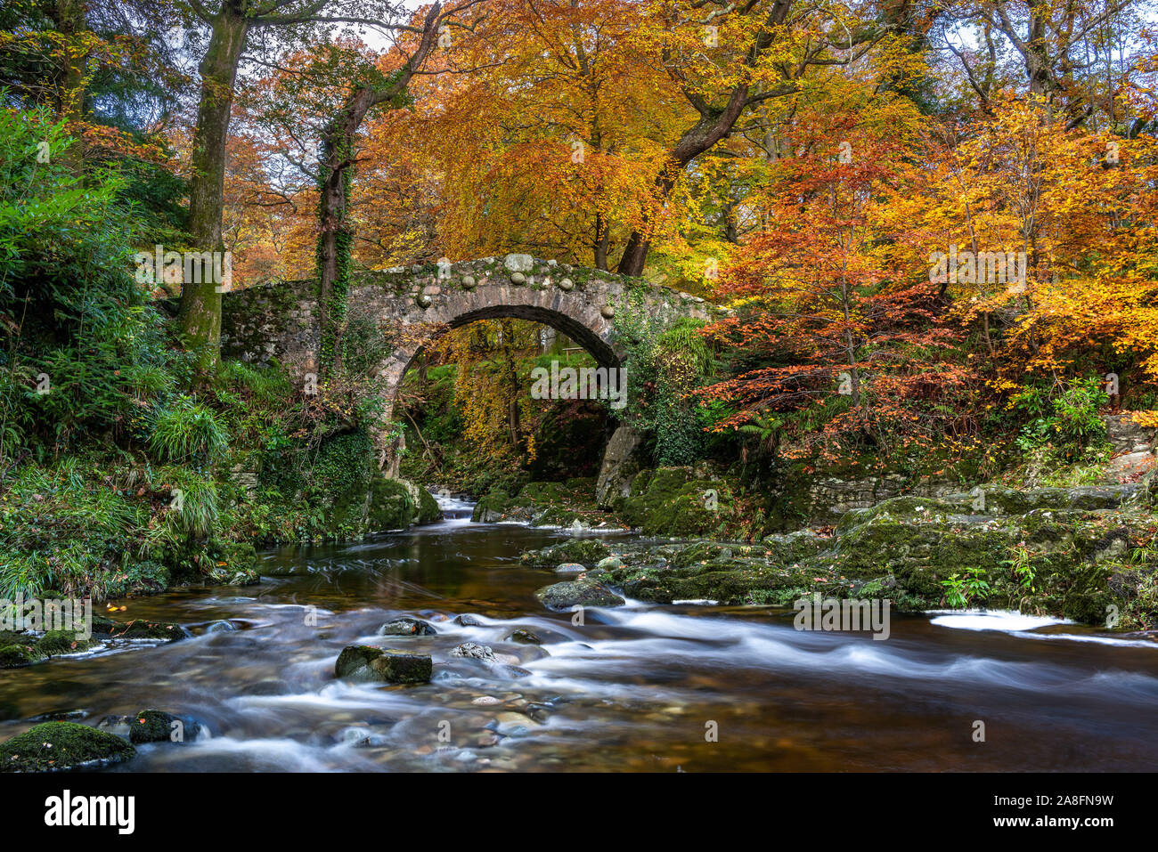 Foley's Bridge autumn Stock Photo Alamy