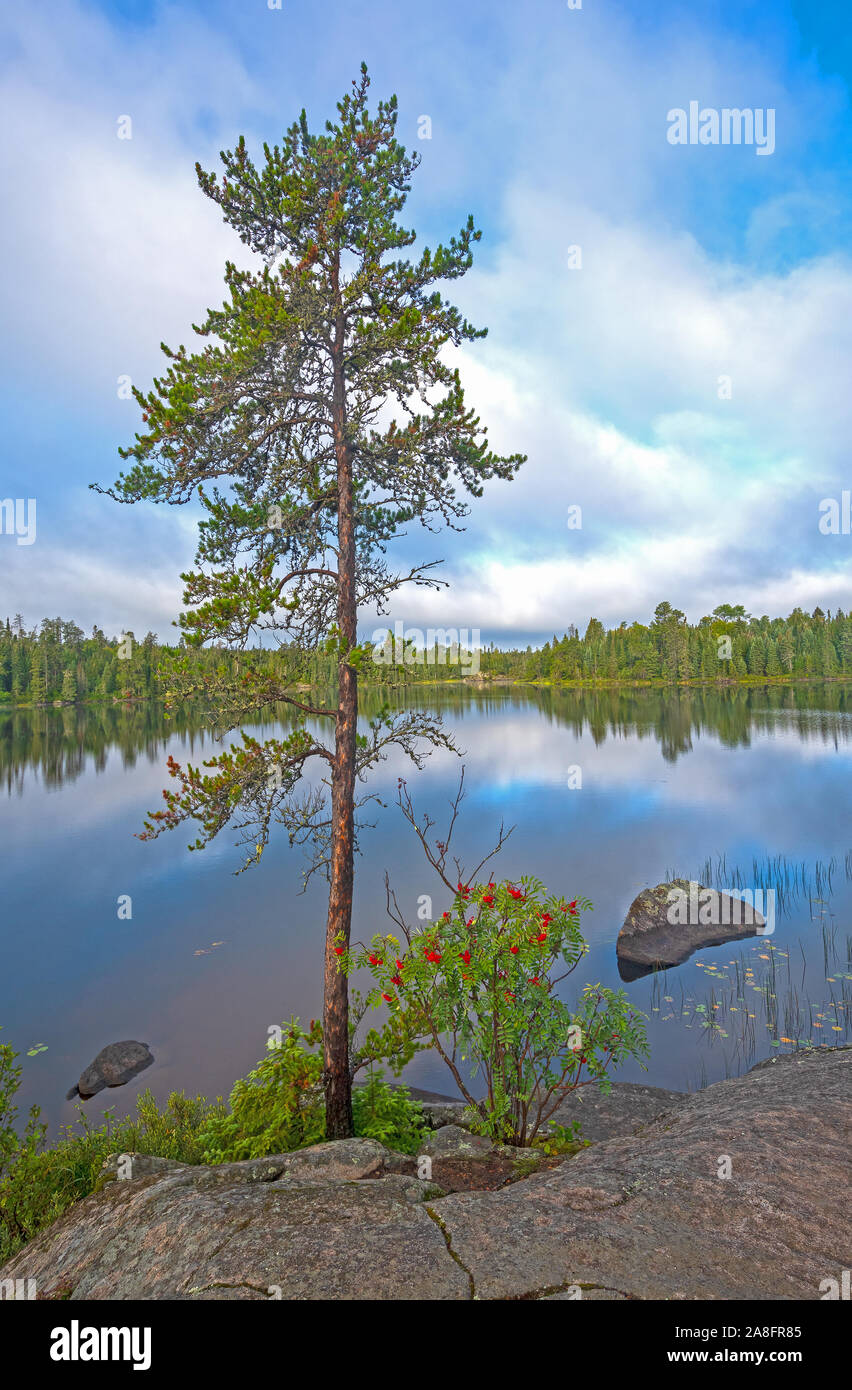Rocky Viewpoint on a Wilderness Lake on Cross Bay Lake in the Boundary Waters in Minnesota Stock Photo