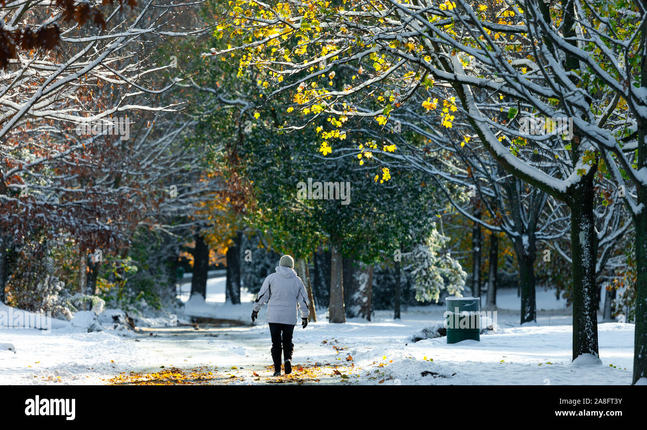 London, Canada - November 8, 2019. With most trees still full of leaves, Londoners walk through Springbank Park after an early snow fall. Stock Photo