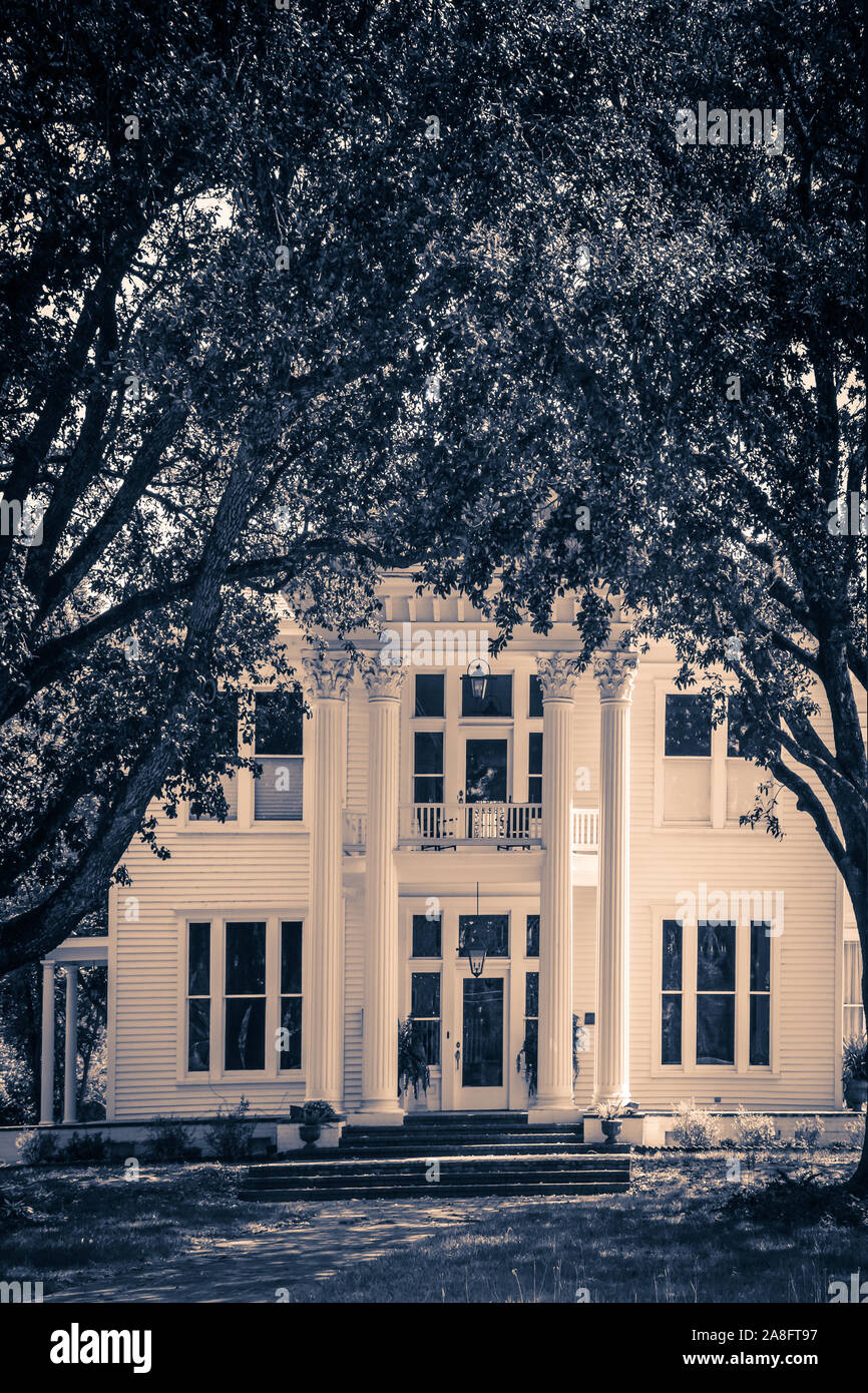An Antebellum style house in neoclassical design highlighted by