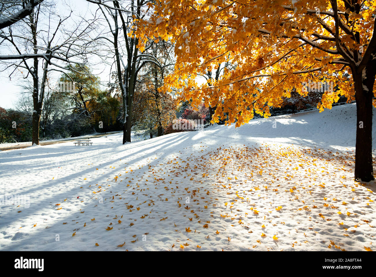 Colour landscape photos of Springbank Park in London, Ontario, Canada ...