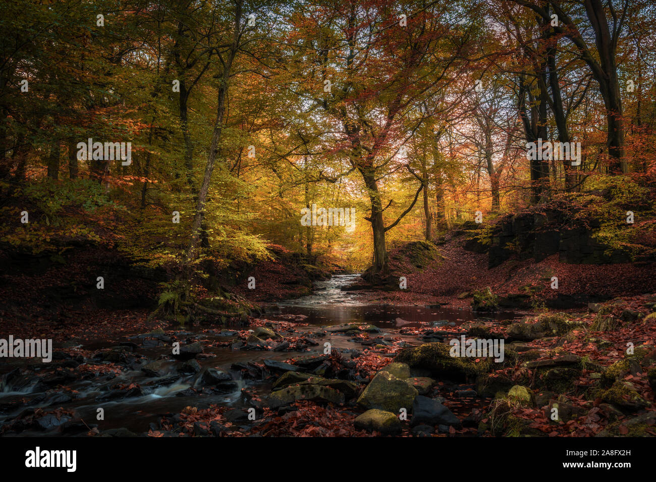 Autumnal landscape of the River Roddlesworth running through  Roddlesworth Woods near Darwen in Lancashire, United Kingdom. Stock Photo