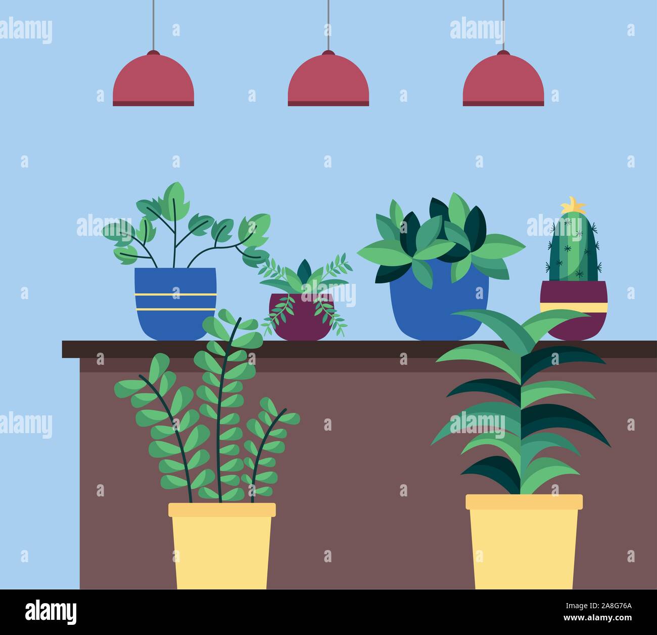 Isolated houseplants inside pots vector design Stock Vector Image & Art ...