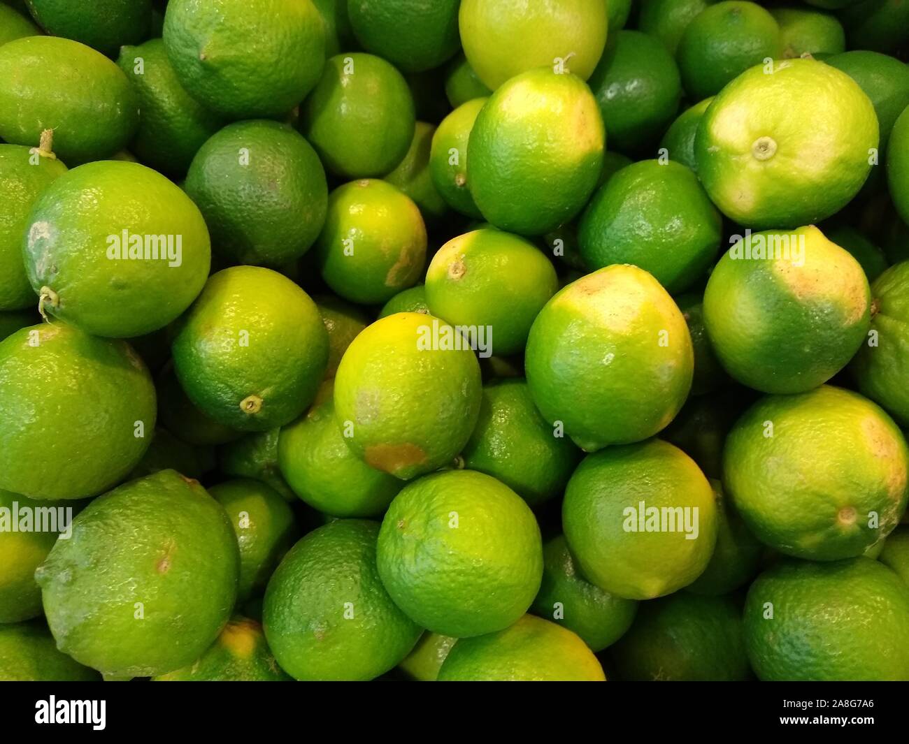 Lemon tree disease hires stock photography and images Alamy