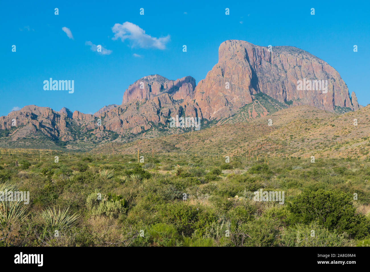 Desert landscape view during the day in Big Bend National Park (Texas ...