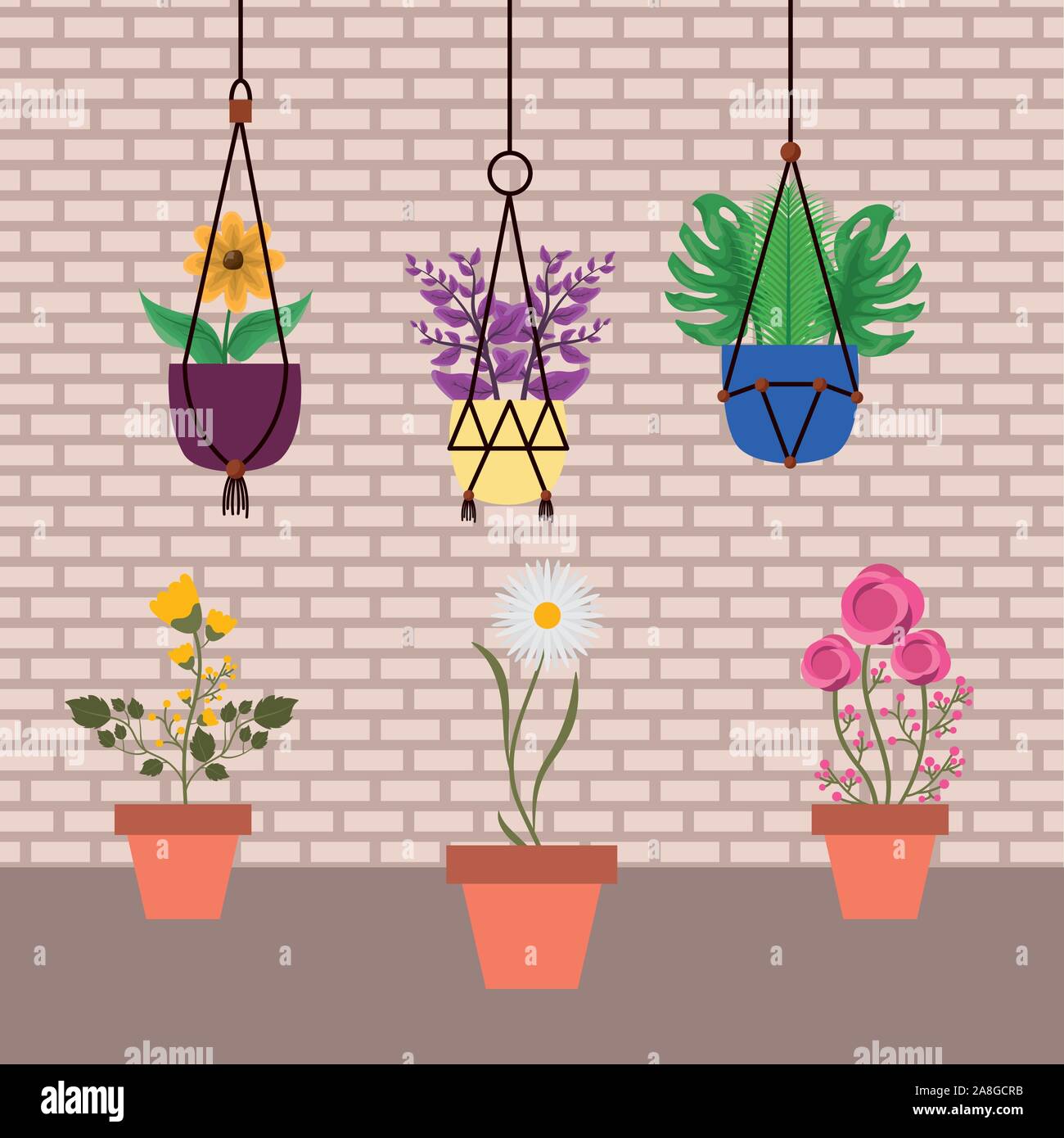 Isolated houseplants inside pots vector design Stock Vector Image & Art ...