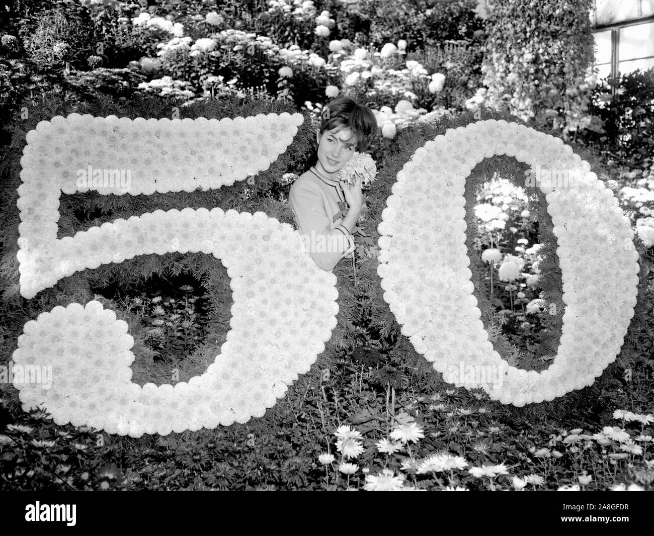 A model poses with a display of flowers to open a flower show on its 50th anniversary in Chicago, ca. 1960. Stock Photo