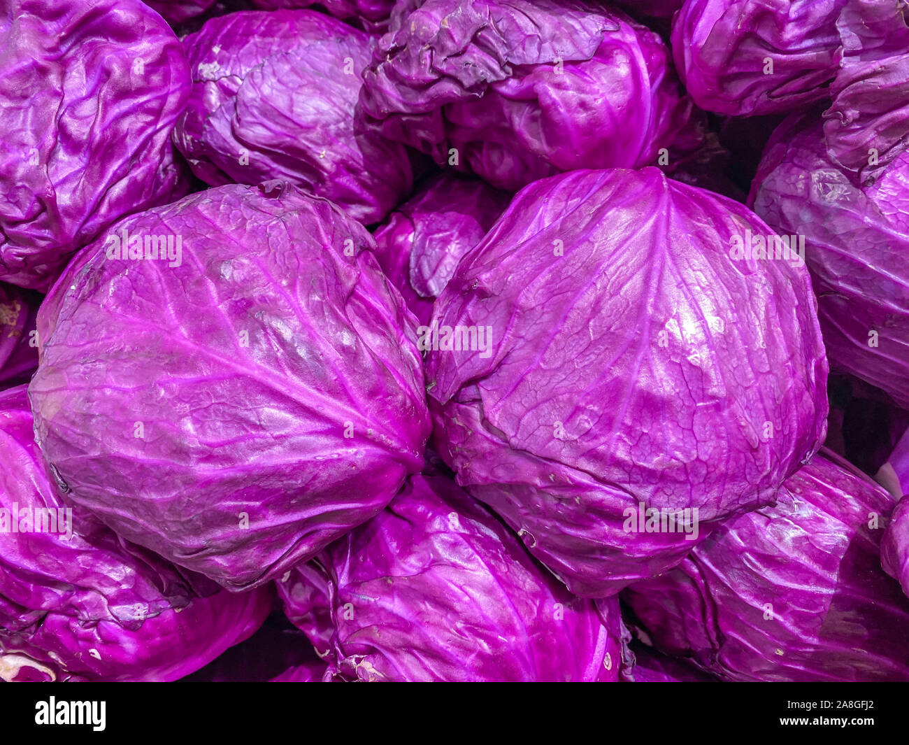 Fresh violet cabbage for sale at grocery market Stock Photo Alamy