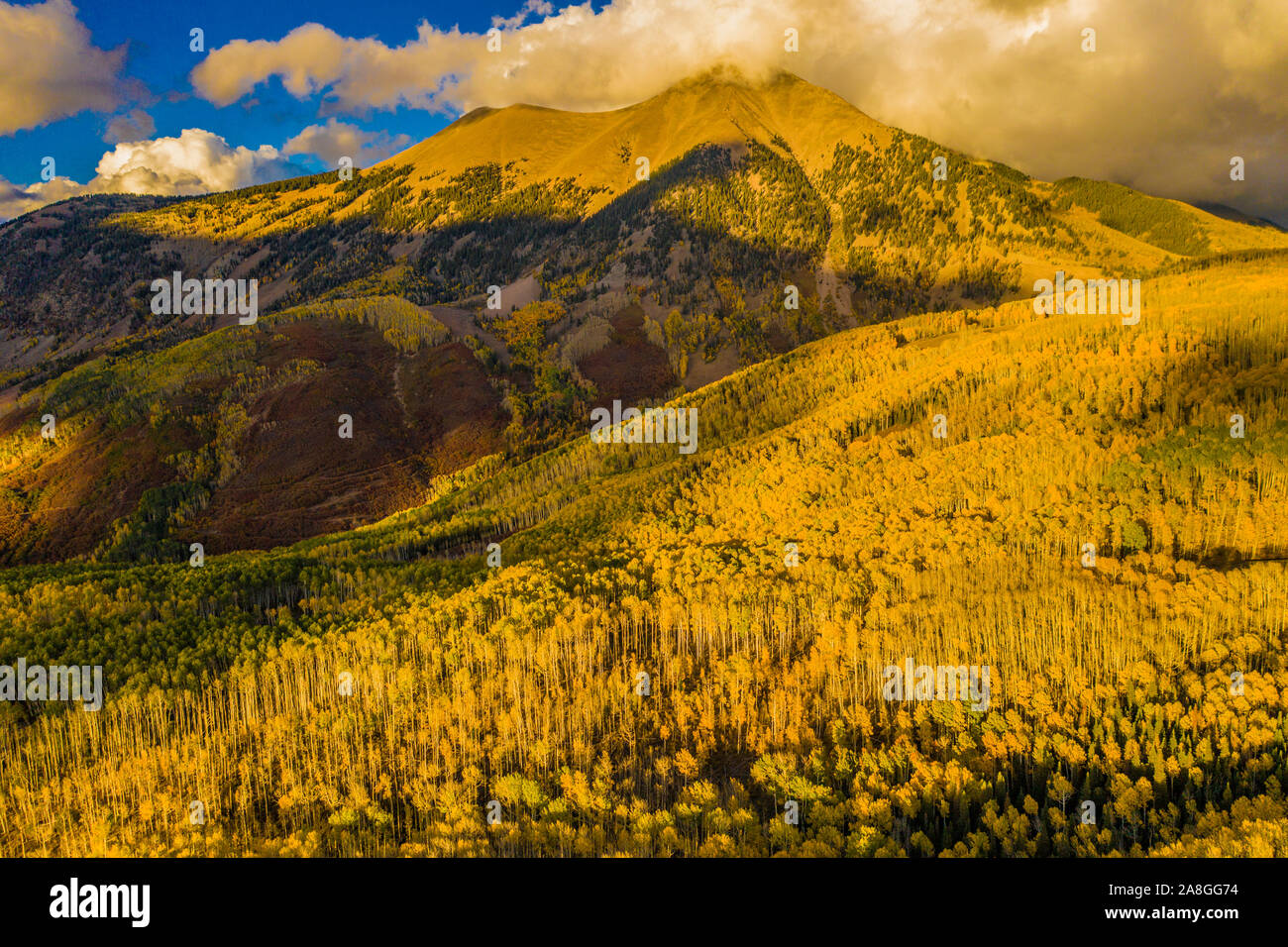 Fall color in La Sal Mountains, Utah, MantiLa Sal Mountains, Gambel