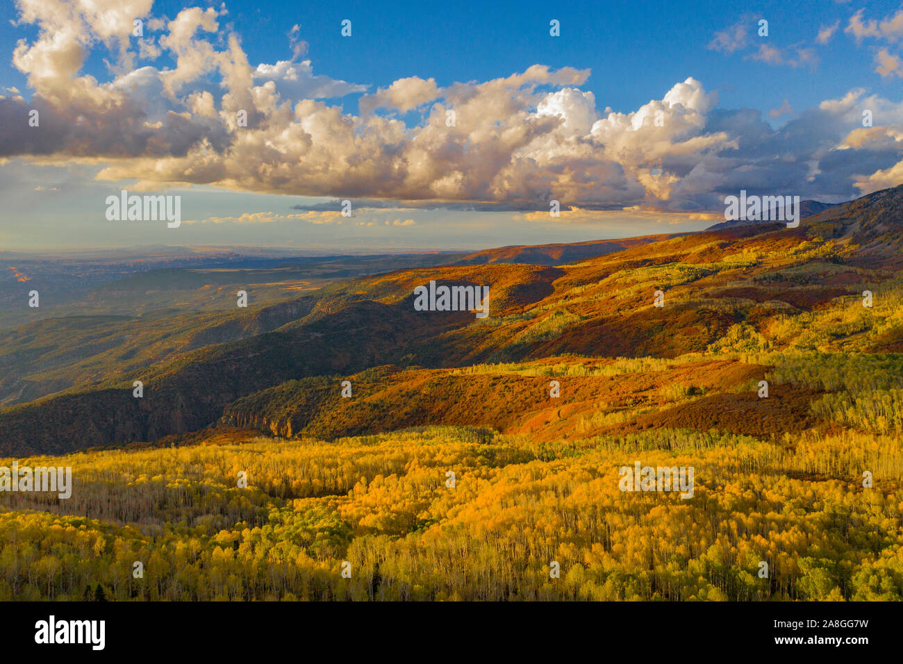 Fall color in La Sal Mountains, Utah, MantiLa Sal Mountains, Gambel