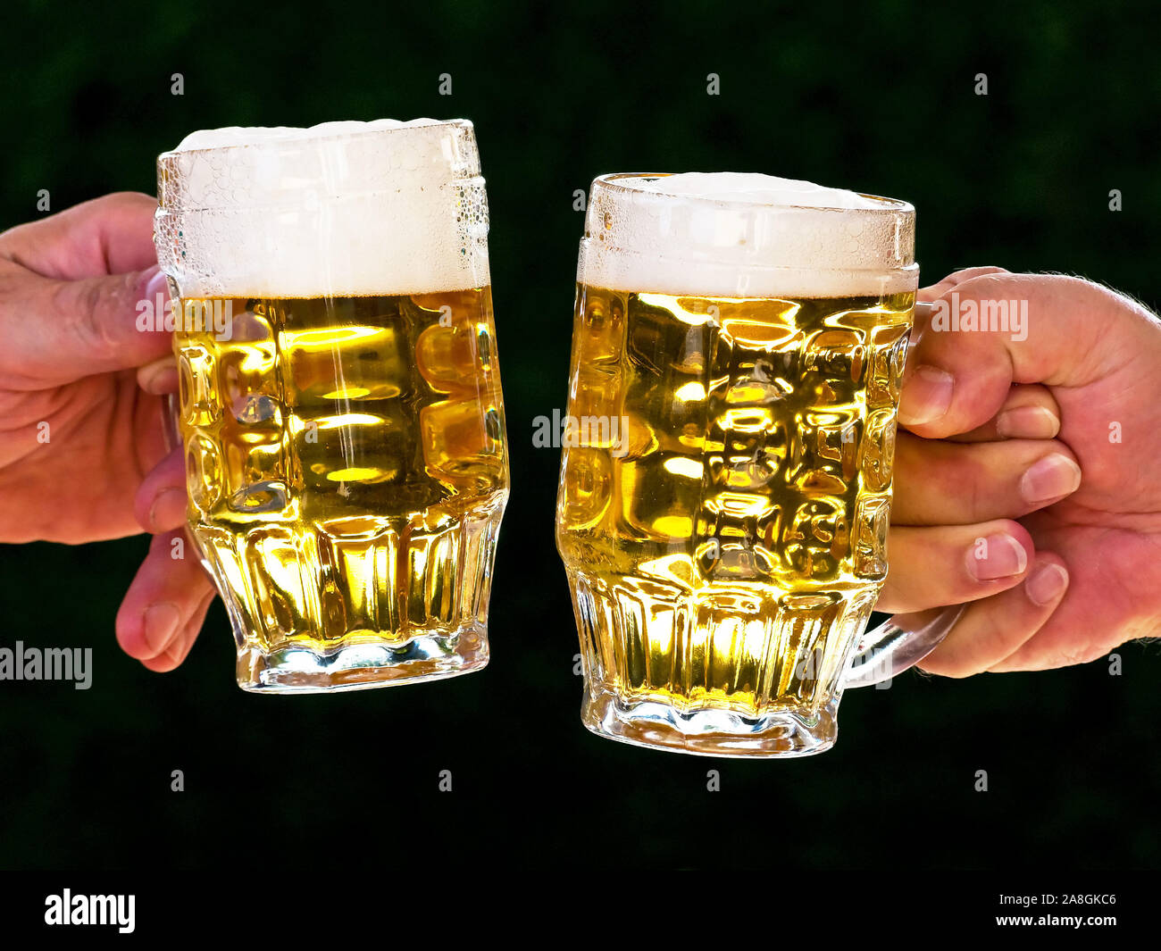 Zwei Krüge mit Bier und Bierschaum beim Anstossen, Oktoberfest, Stock Photo