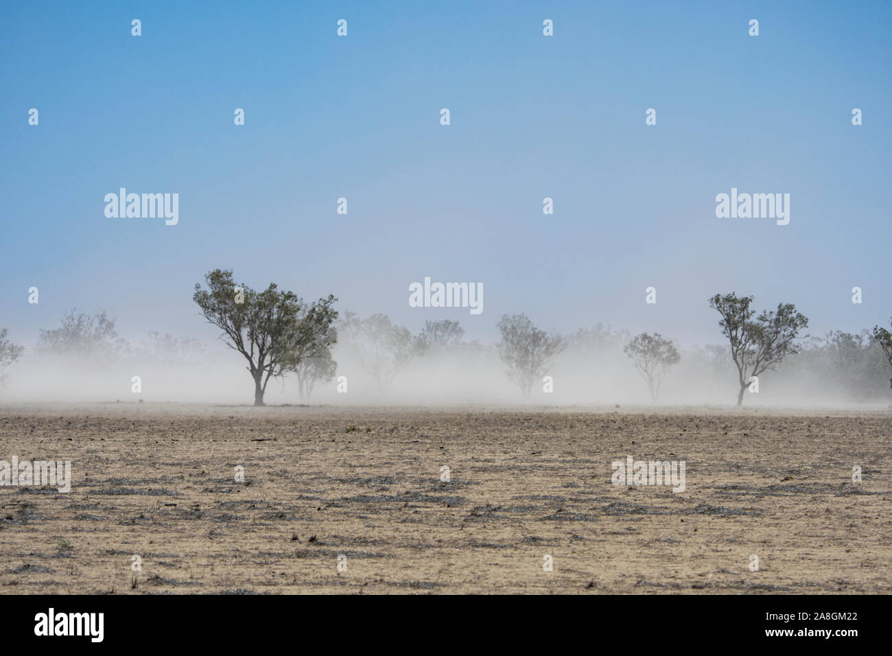 Dust storm over land that has been cleared and is in drought, near Walgett, New South Wales, NSW, Australia Stock Photo