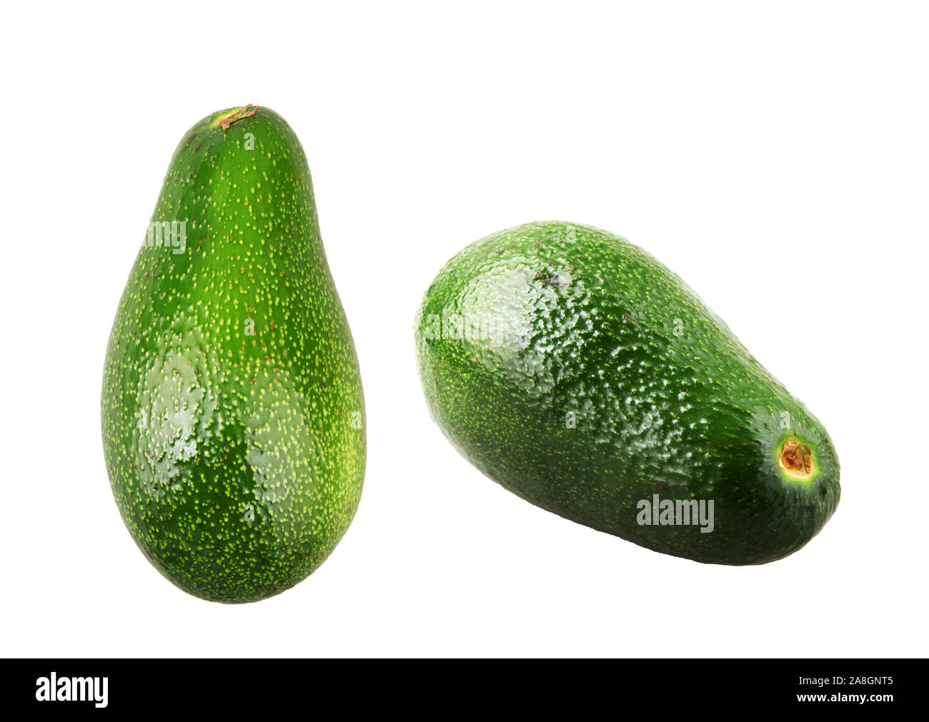 Whole avocado isolated on white background. The avocado or Persea Americana is a fruit that belongs to the family of Lauraceae. Stock Photo