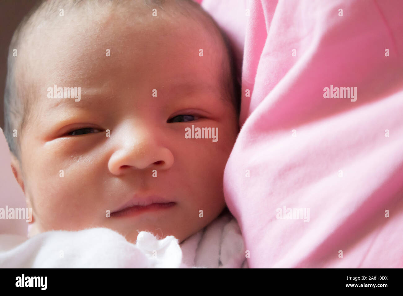 Close up and selective focus of one day old baby Stock Photo