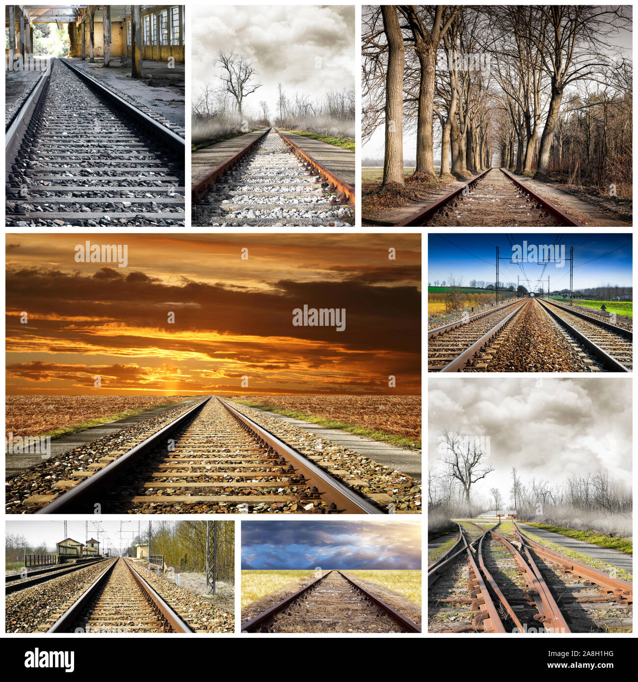 Train rails in many landscape collage Stock Photo