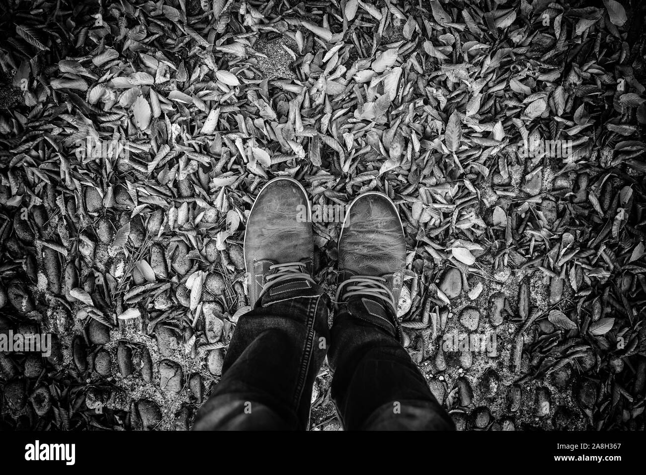 Feet in fallen leaves, detail of the season, autumn and cold Stock Photo