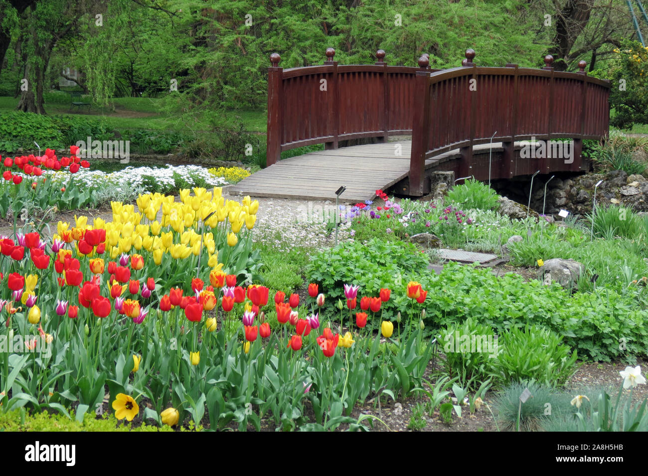  Flowers in park Stock Photo - Alamy Bildidee 