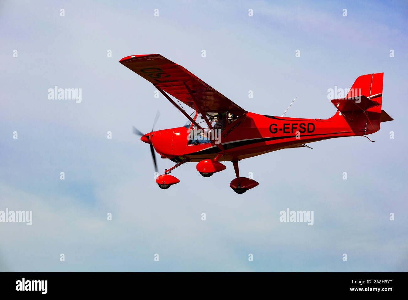 Eurofox hi-res stock photography and images - Alamy