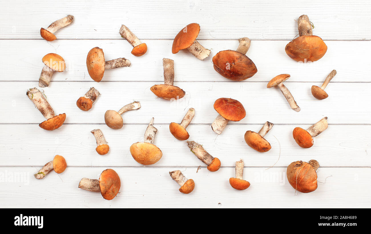 Flat cap mushrooms hires stock photography and images Alamy