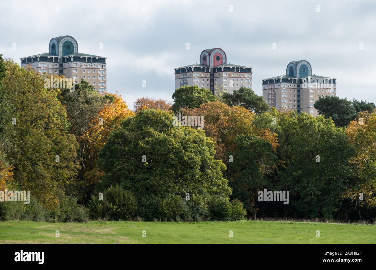 Motherwell, Dalziel Country Park and tower blocks Stock Photo Alamy