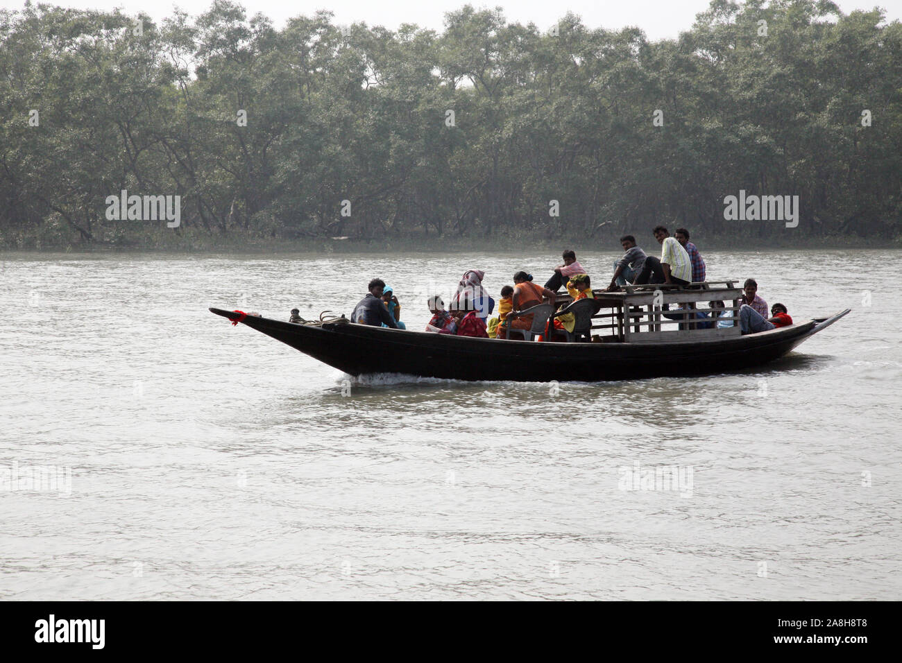 Wooden boat crosses the Ganges River in Sundarbans, West Bengal, India ...