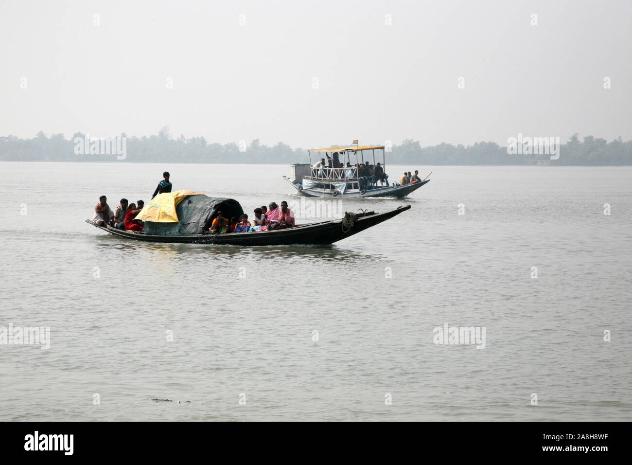 Wooden boat crosses the Ganges River in Sundarbans, West Bengal, India ...