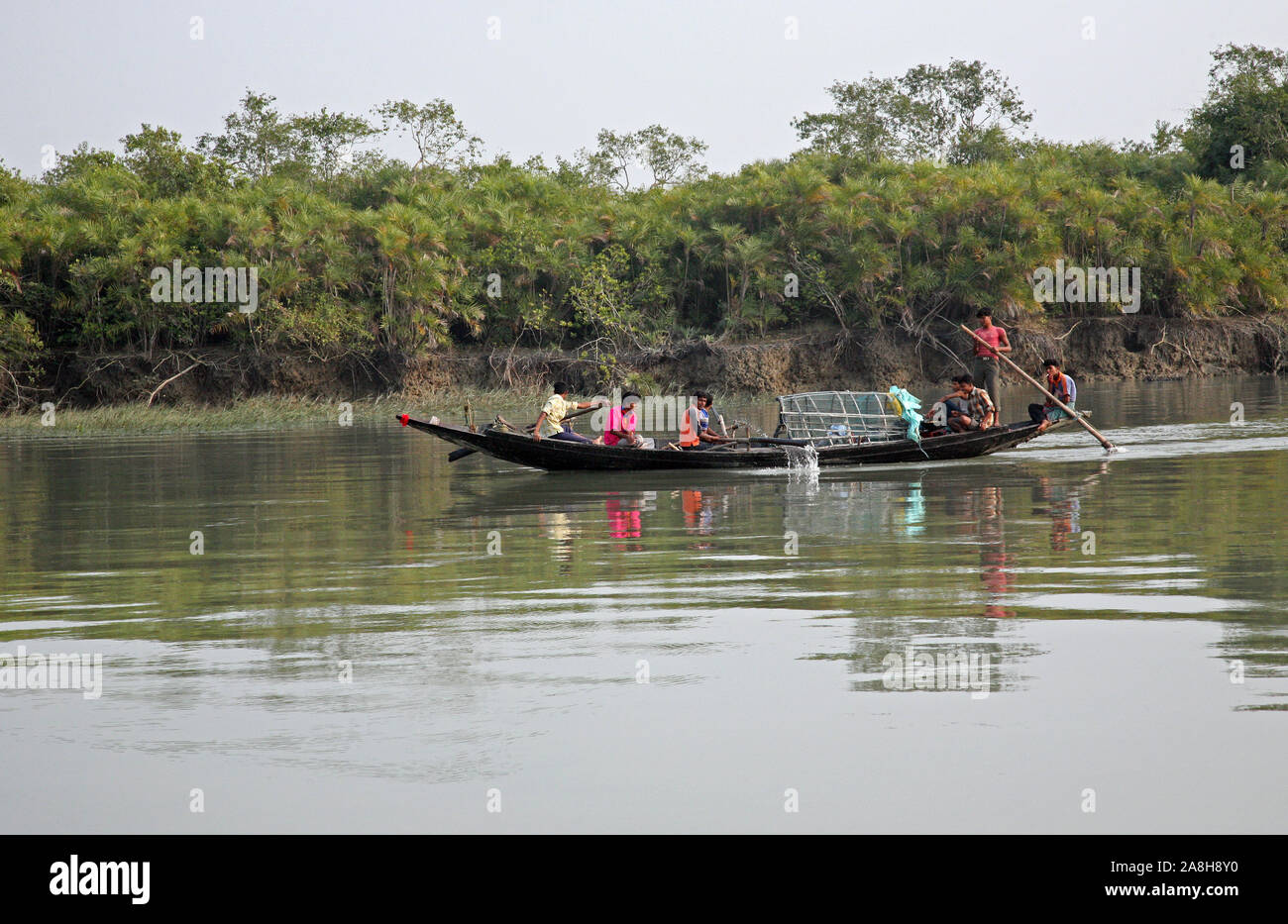 Wooden boat crosses the Ganges River in Sundarbans, West Bengal, India ...