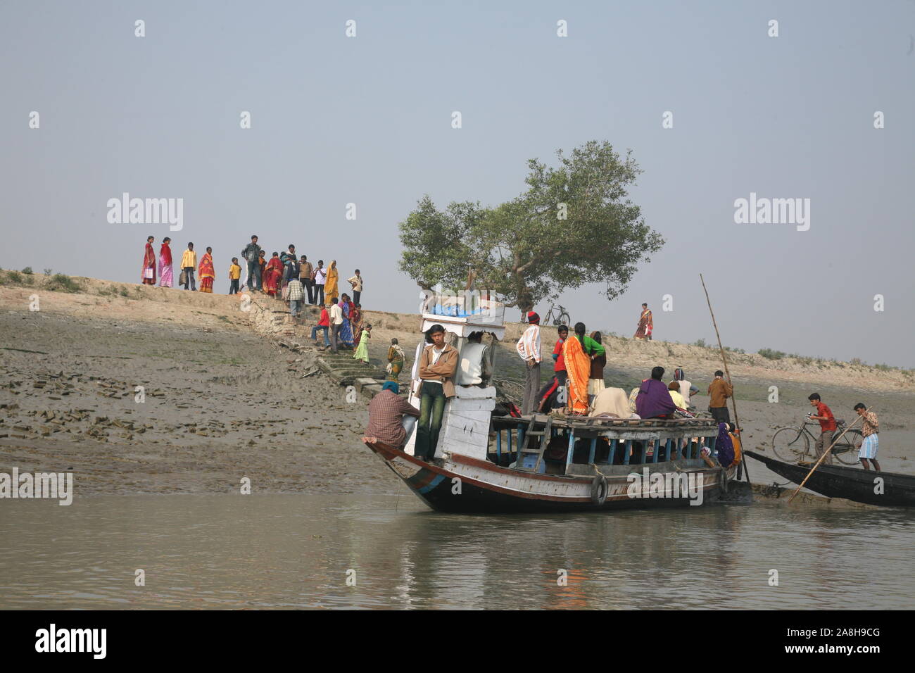 Wooden boat crosses the Ganges River in Gosaba, West Bengal, India ...