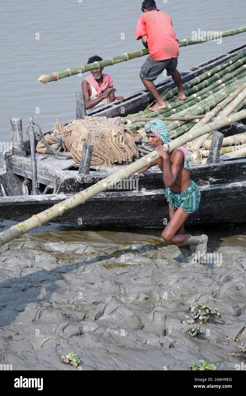 Workers unload cargo from the boat to the shore of the Ganges in the deep mud in Gosaba, India Stock Photo