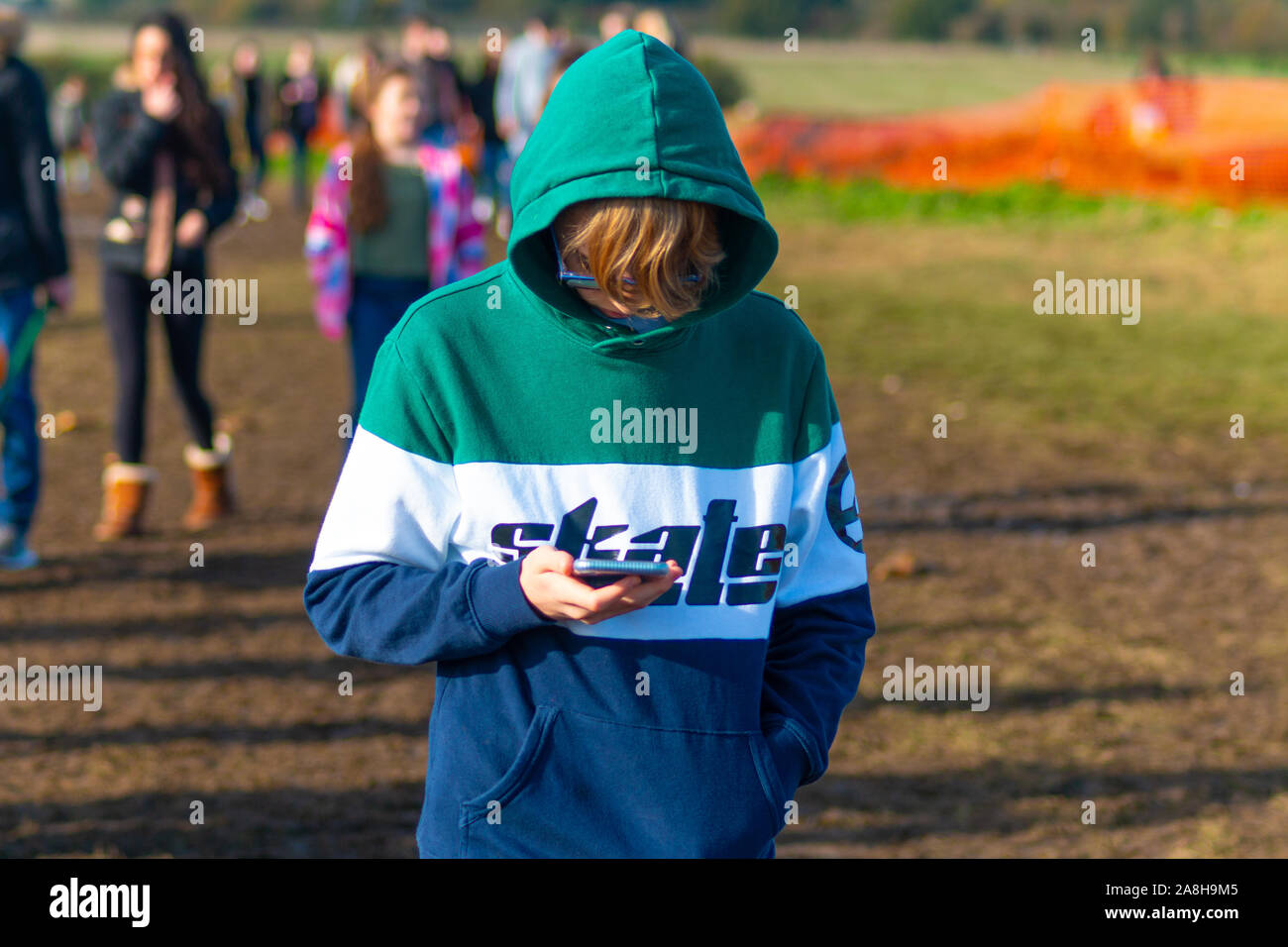 A field of pumpkins at halloween time. A teenage boy is oblivious to his surroundings and engrossed on his iphone Stock Photo