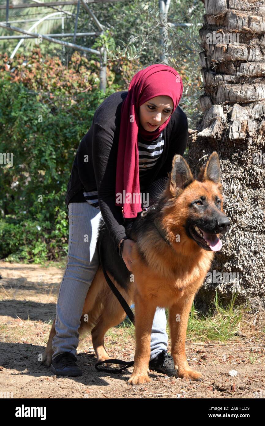 (191109) -- GAZA, Nov. 9, 2019 (Xinhua) -- Talia Thabit trains a guard dog in her home garden at Nuseirat camp in central Gaza Strip, Oct. 31, 2019. Talia Thabit, a lady in her 20s, becomes the first-ever female dog trainer in the Gaza Strip. TO GO WITH 'Feature: Young lady becomes 1st ever dog trainer in Gaza' (Photo by Rizek Abdeljawad/Xinhua) Stock Photo