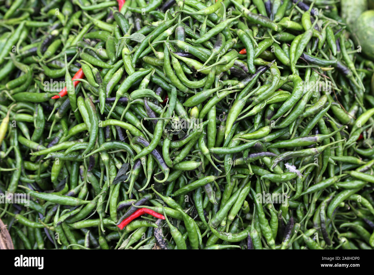 Green paprika in traditional vegetable market in India Stock Photo Alamy