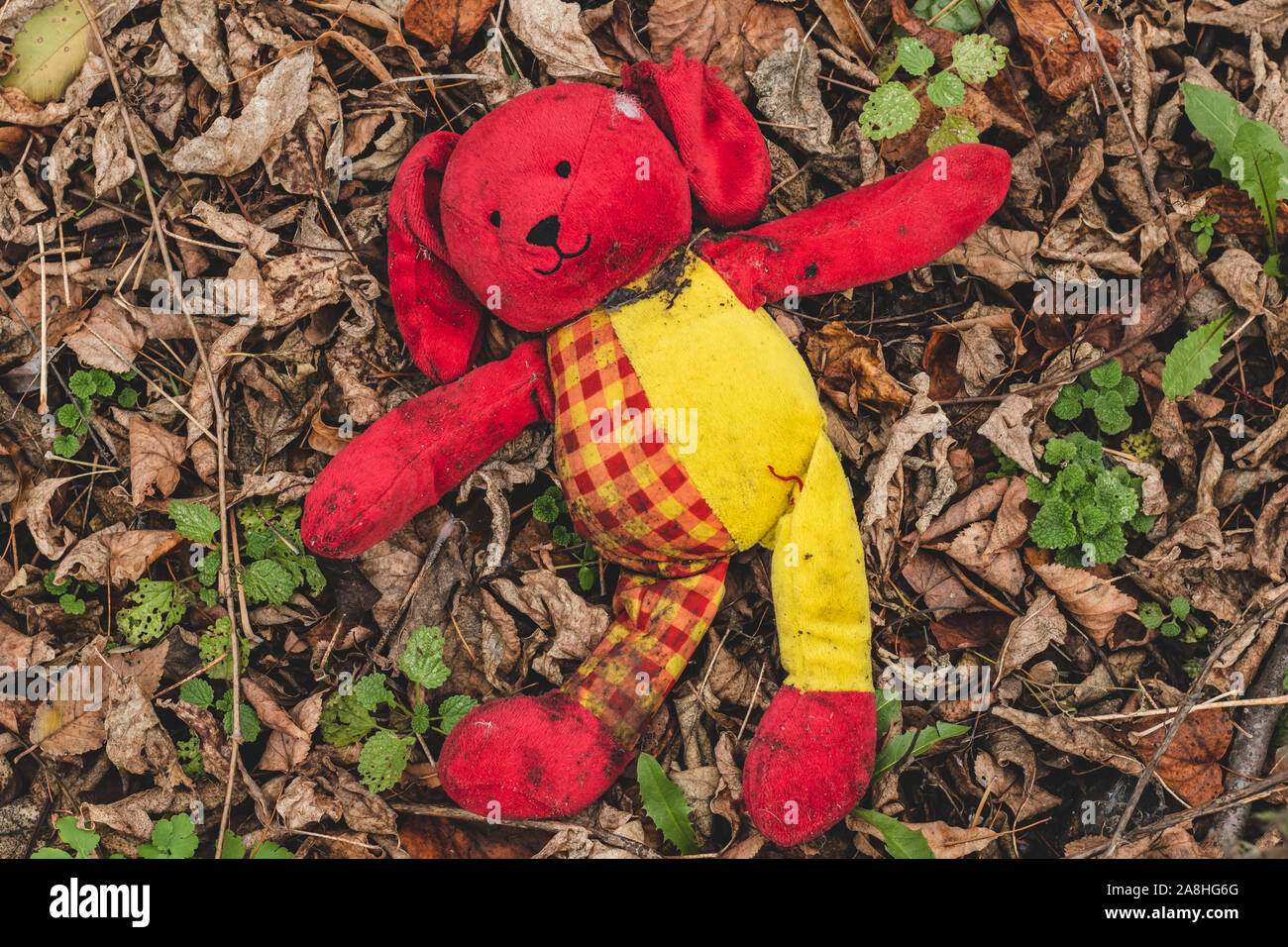 Plush toy dog wallow in foliage. Lost dirty red toy lies on the ground in the park. Stock Photo