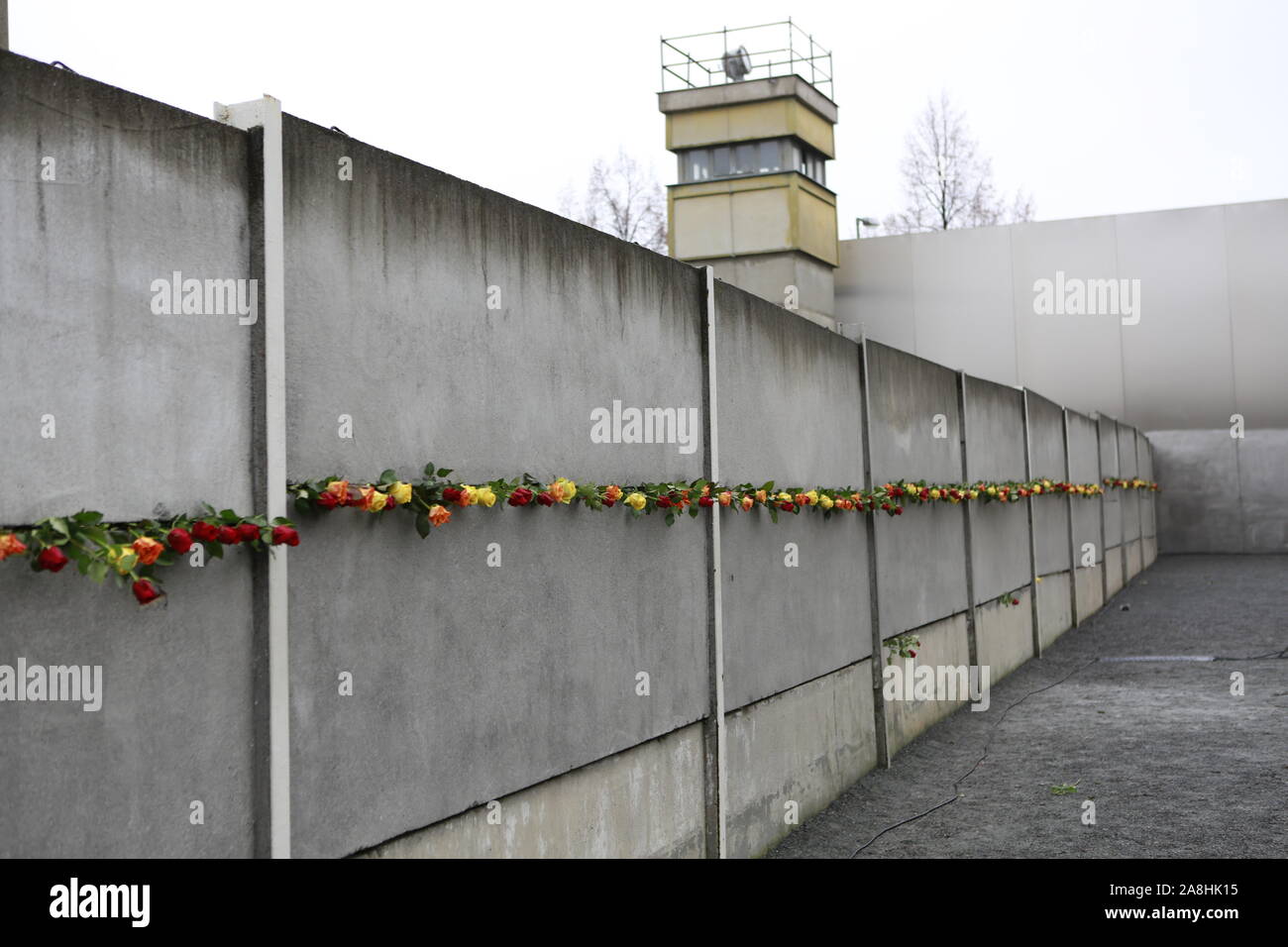 11/09/2019, Berlin, Germany,  roses in the back wall. Stock Photo