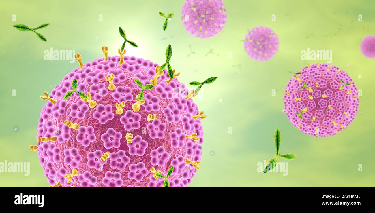 Human papillonmavirus HPV marked by antibodies, medical 3D illustration Stock Photo