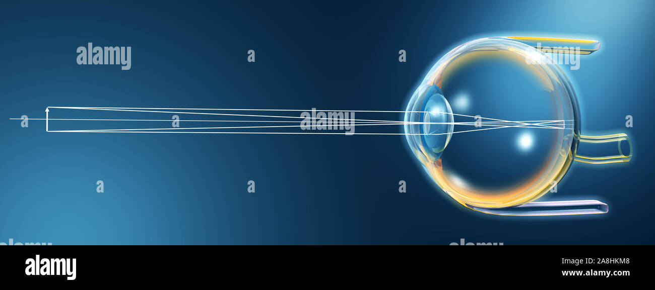 Futuristic 3D illustration showing human eye with pupil, iris, anterior  chamber, posterior chamber, ciliary body, eye ball and vitreous body Stock  Photo - Alamy