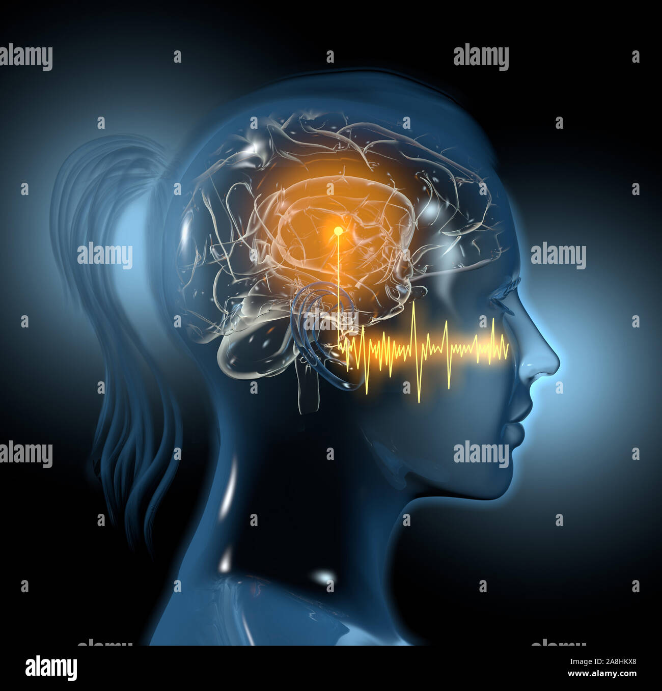 3D illustration showing woman with sound wave and activated brain Stock Photo