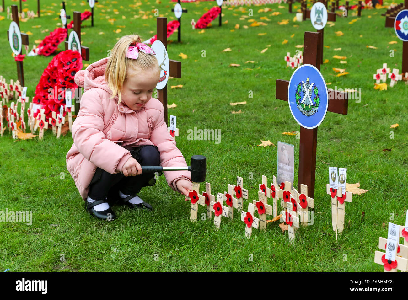 09 November 2019, Glasgow, Scotland, UK. GRACE EVERETT (aged 3) from Glasgow attends at the British Legion Garden of Remembrance in George Square, Glasgow to leave poppies on small wooden crosses in remembrance of her Great Grandfather 'CHARLES EVERETT' who served in the RAF, her Great Grandfather 'ROBERT STONE' who served with the Royal Engineers and the Cameronians and her Uncle 'ALEX STONE' who served with the Royal Highland Fusiliers. Credit Findlay/ Alamy News Stock Photo