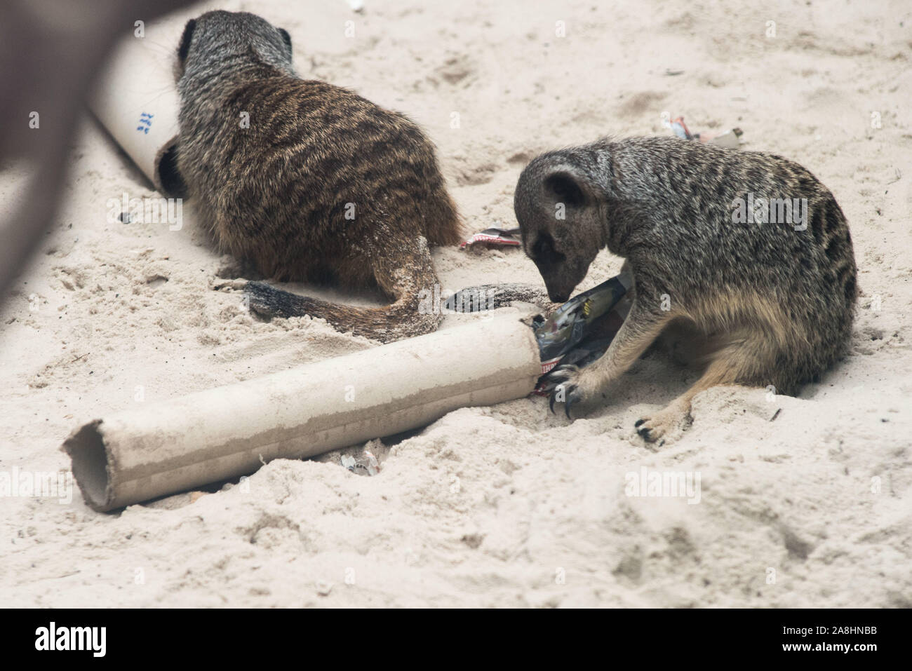 Eating lunch edinburgh hires stock photography and images Alamy