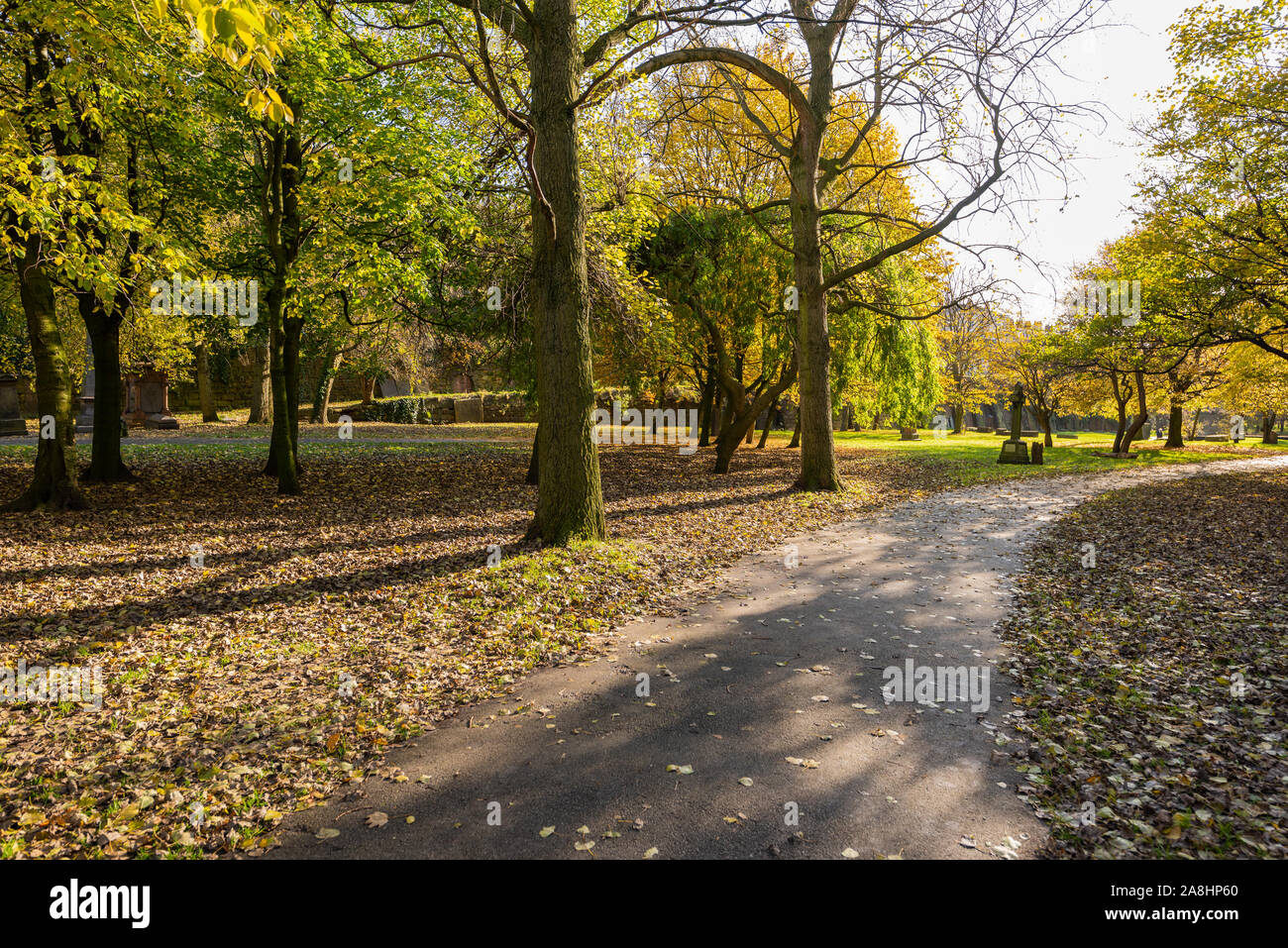 Autumn in Liverpool. Autumn colours in St James' Cemetery Liverpool, below the Anglican Cathedral Stock Photo