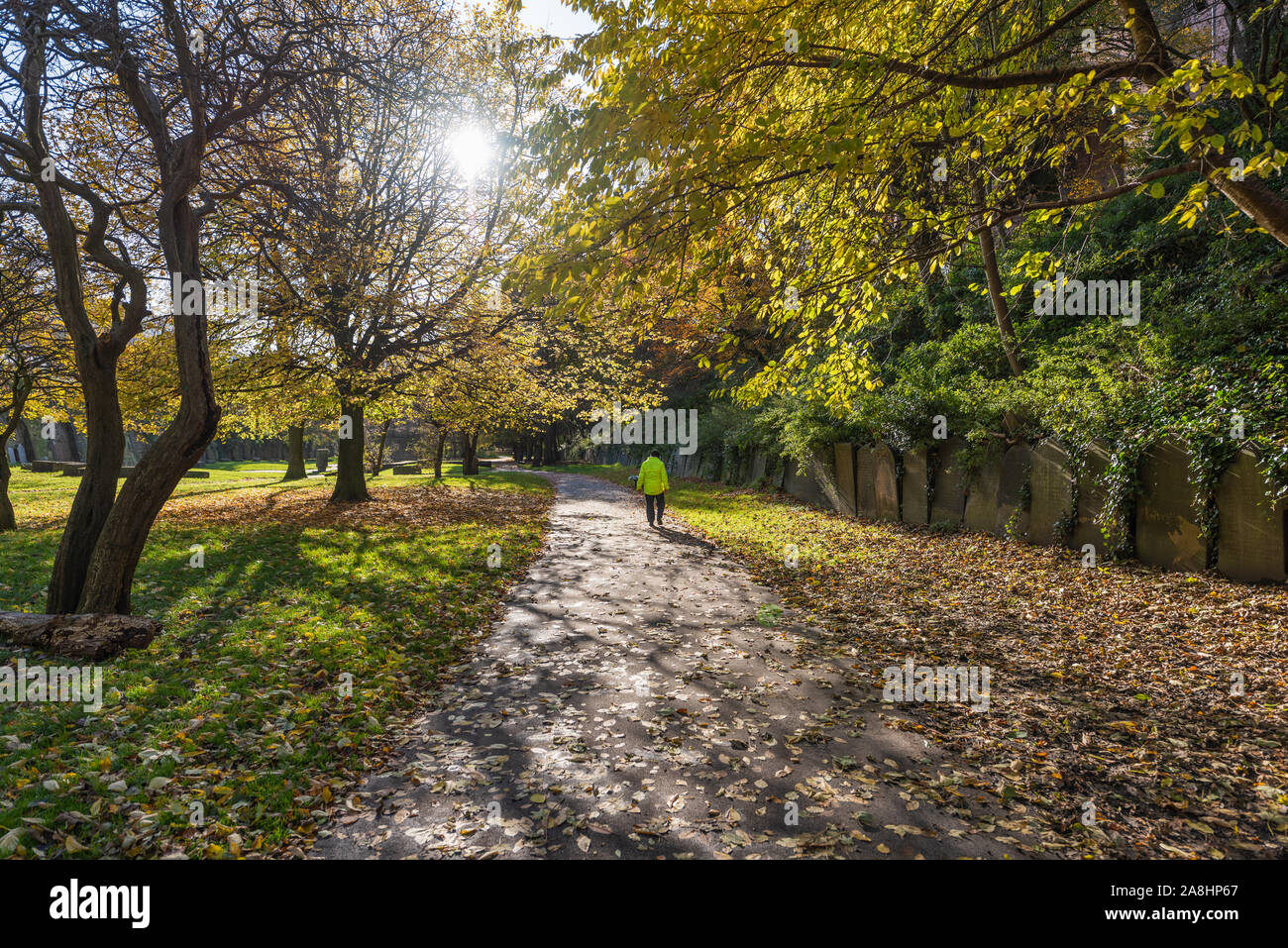 Autumn in Liverpool. Autumn colours in St James' Cemetery Liverpool, below the Anglican Cathedral Stock Photo